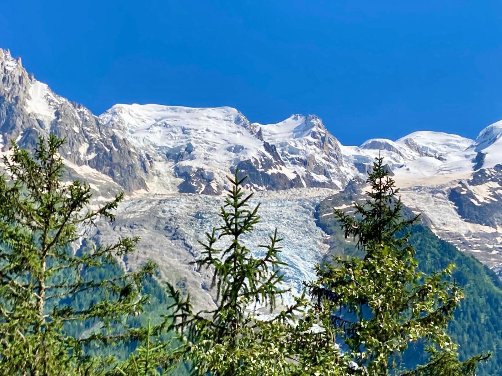 Chalet Ciscana Chamonix Montblanc المظهر الخارجي الصورة